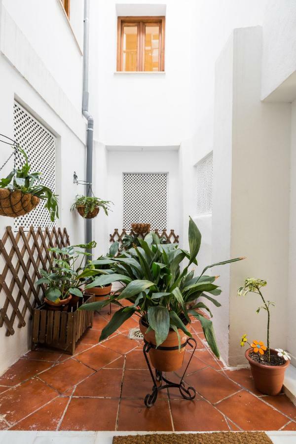 Livings En Elvira Centro Apartamento Granada